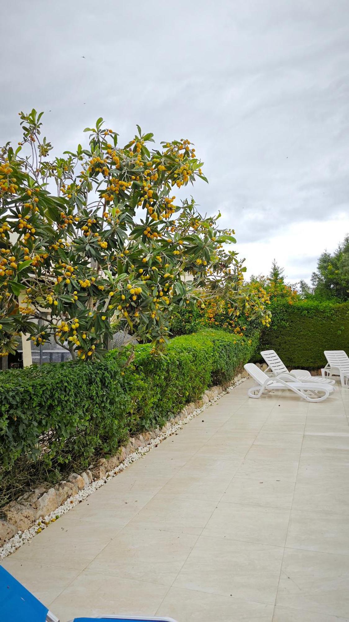 Byzantium Gardens - Green Paphos Ngoại thất bức ảnh